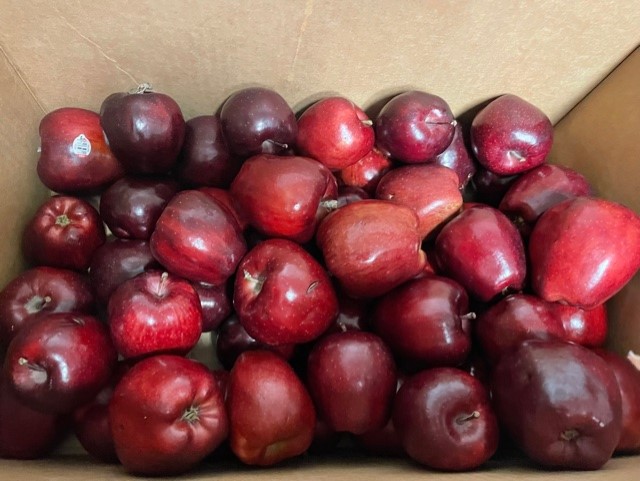 apples in a box