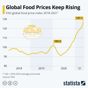 graph showing rising food pricees
