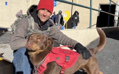 Pet Food Pantry is a Vital Resource