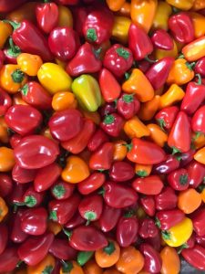 Peppers donated from local nonprofit Seed2Need.